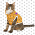 Pet Hoodie | Lakers Kobe