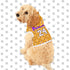 Pet Hoodie | Lakers Kobe